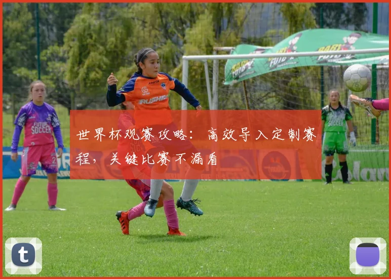 世界杯观赛攻略：高效导入定制赛程，关键比赛不漏看